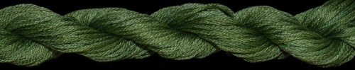 (image for) English Ivy