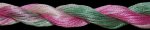 (image for) Lady Slipper