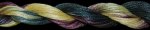 (image for) Squash