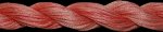 (image for) Ocean Coral