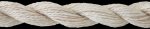 (image for) Ivory