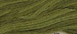 (image for) Lily Pad