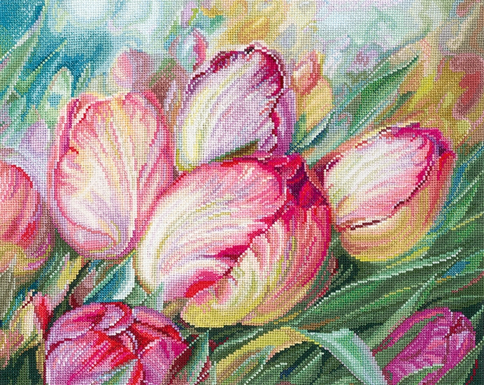 Tulips