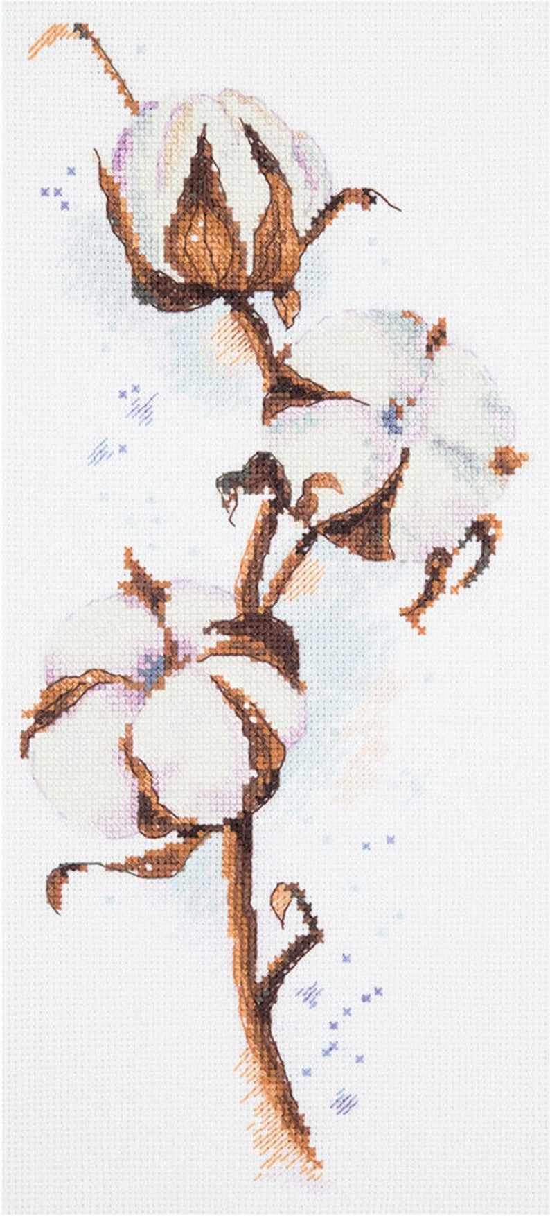 Cotton