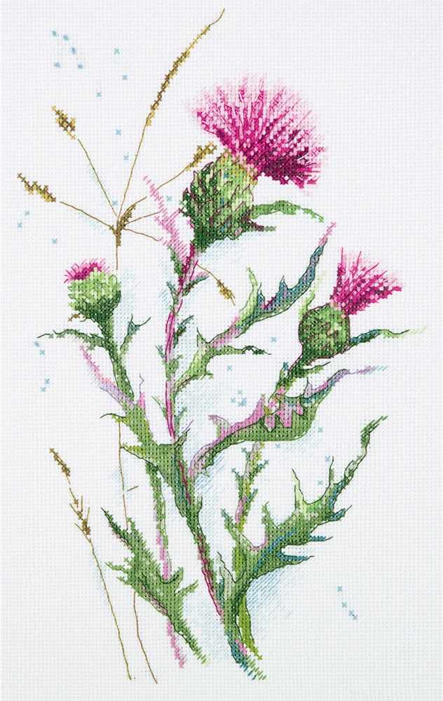(image for) Thistle