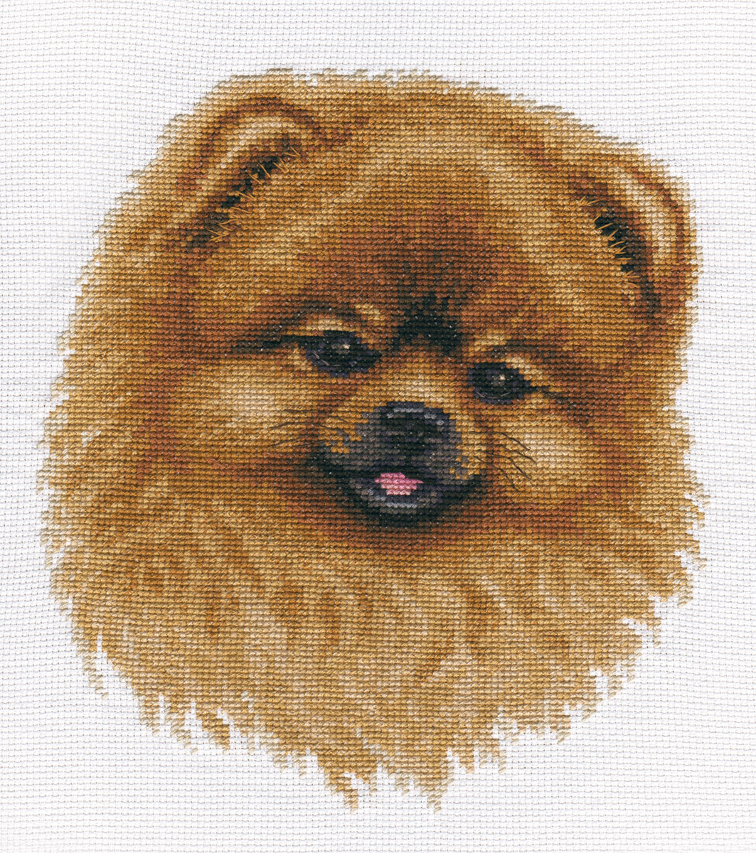Spitz