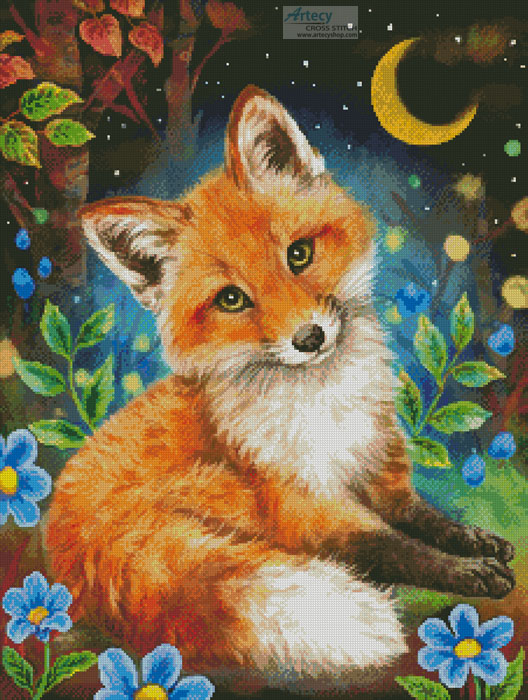 Dreamy Night