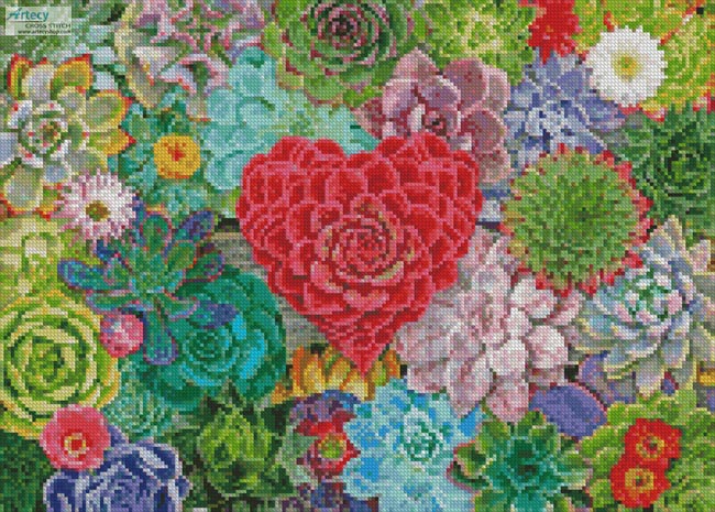 Mini Succulent Love