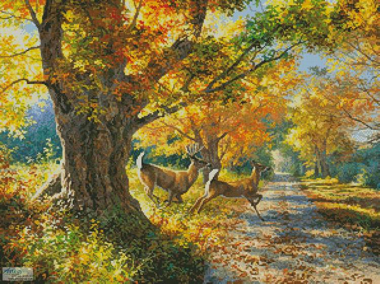 (image for) Morning Run