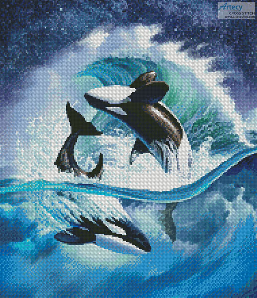 Orca Wave - Crop