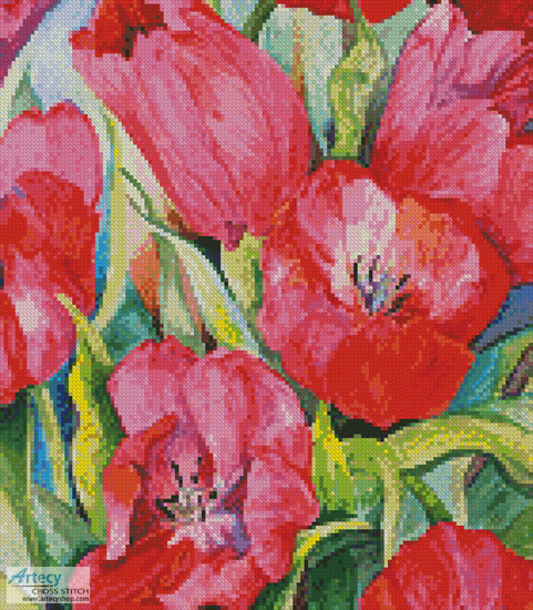 Red Tulips - Crop