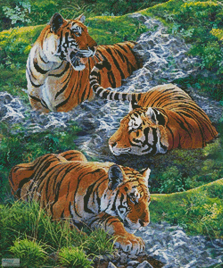 (image for) Tigers in Water