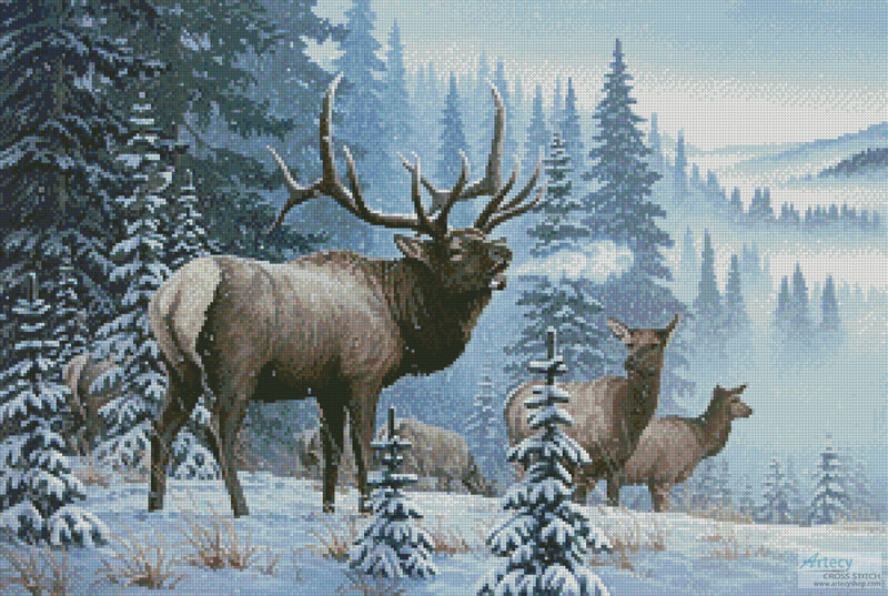 (image for) Winter Elk