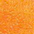 02096 Orange Glass Seed Beads