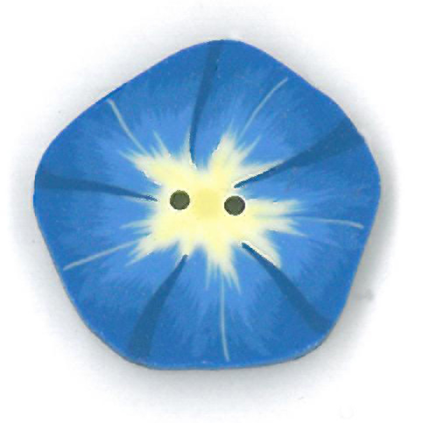 Morning Glory - Small
