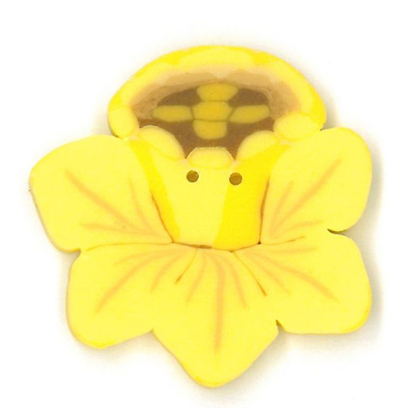Daffodil - Large
