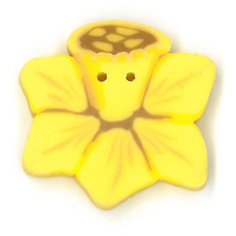 Daffodil - Small