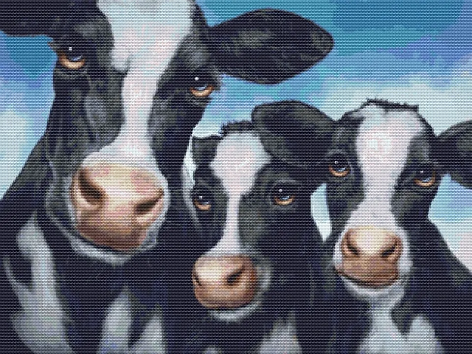 (image for) 3 Cows