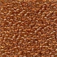 02041 Maple Glass Seed Beads