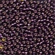 02080 Dark Plum Glass Seed Beads