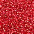 42043 Rich Red Petite Seed Beads