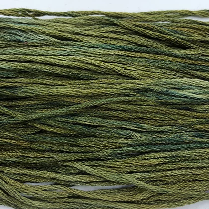 Moss