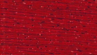 Petite Silk Lame Braid - SP08 Red