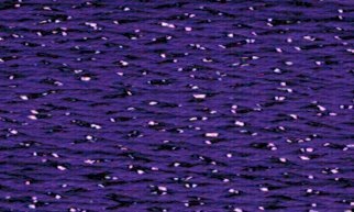 Petite Silk Lame Braid - SP12 Purple